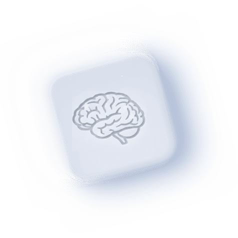 brain image